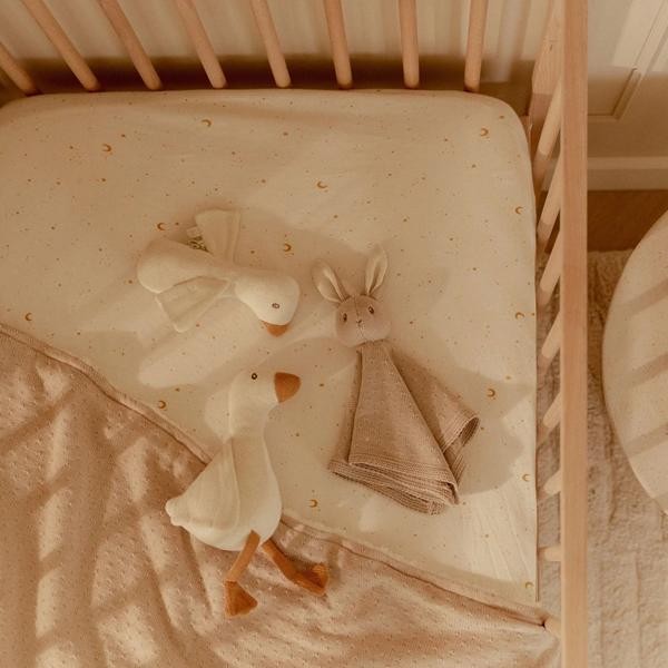 ed0d8332b5471cda775754fb7e927678