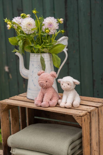 a23e977eaeff7bd9ddda50e5c2aacd81