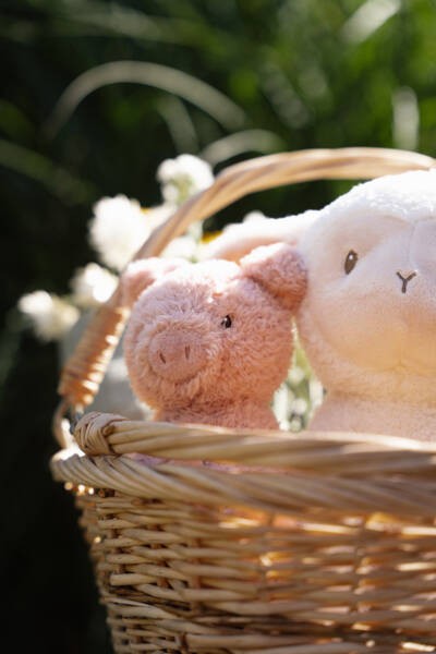 2c6ea8139205bb2d17b9ca481aa55bc0