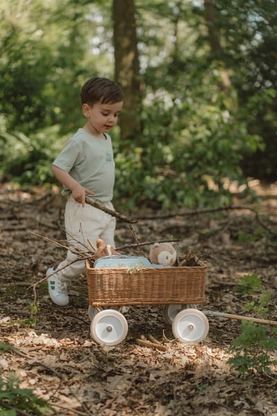 e85051bbdf51ae7432df07e519eea6a5