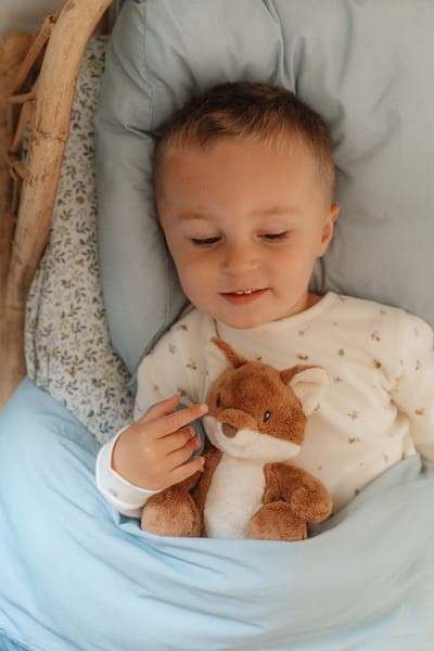 75ead294e8fdd478d0dc04190b595cef