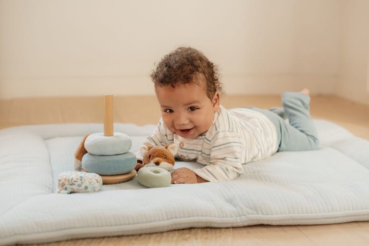 459a65ac74a36e7973a1d49aef5294a1