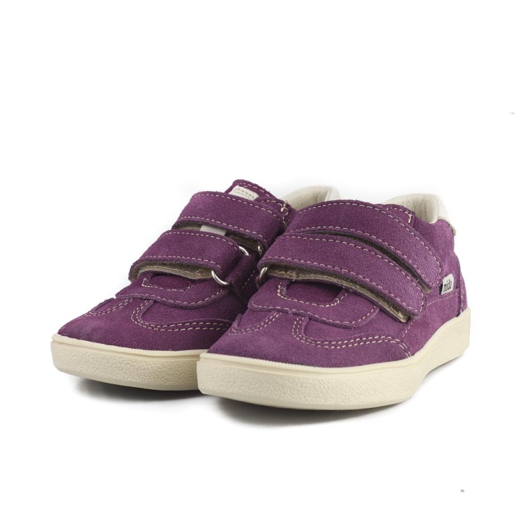 40-64 GRAPE.jpg