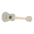 18ff6588c1e0750b3218c29af0ce2916