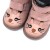 mali_kitty_rosa_3.jpg